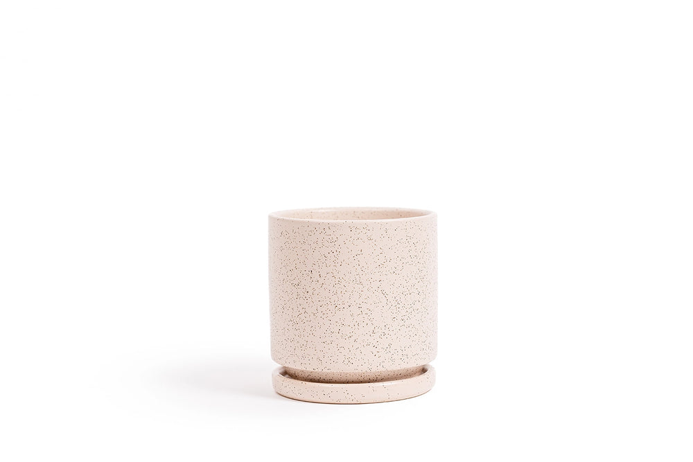 White Sesame Cylinder 4 Inch