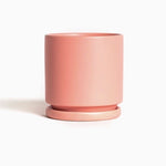 Gemstone Cylinder Pot 4.5" - Bubblegum