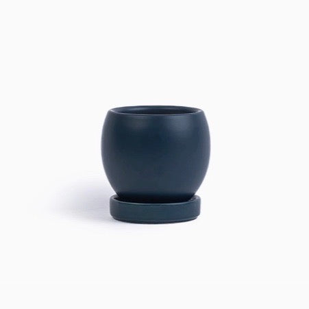 Bollé Ceramic Planter 4.25" - Black
