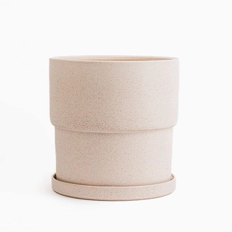 Calyx Ceramic Planter 8.5" - White Sesame