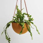 Dome Hanging Planter - Golden