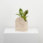 Sol Planter