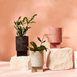 Capra Designs Tri Planter