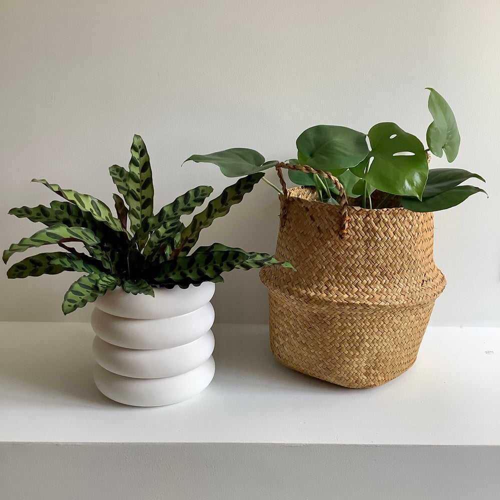
                
                    Load image into Gallery viewer, AreaWare Stacking Planter
                
            